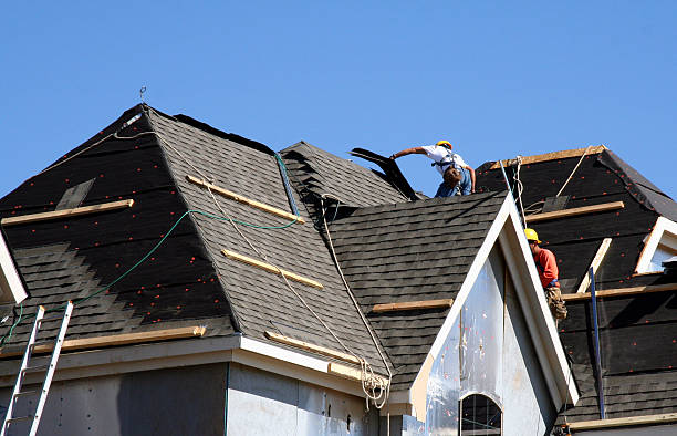 Best Roofing for New Construction  in Sidney, IL