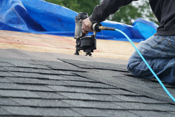 Best Roof Leak Repair  in Sidney, IL