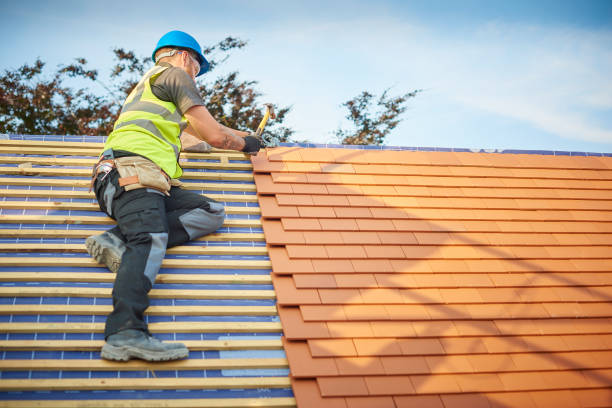Best Storm Damage Roof Repair  in Sidney, IL