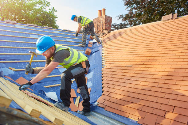 Best Roof Insulation Installation  in Sidney, IL